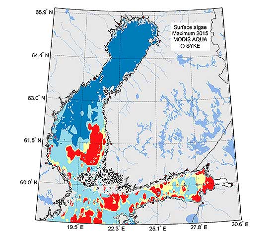 Kollage av förekomsten av blågrönalger i Östersjön, 2015